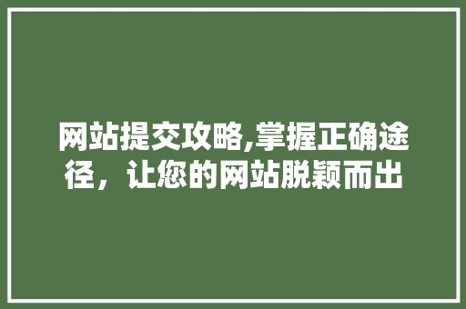 网站提交攻略,掌握正确途径，让您的网站脱颖而出