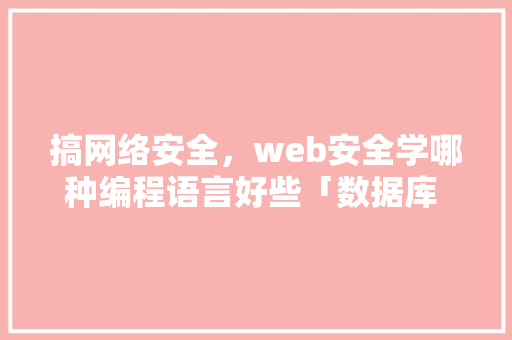 搞网络安全，web安全学哪种编程语言好些「数据库 审计」