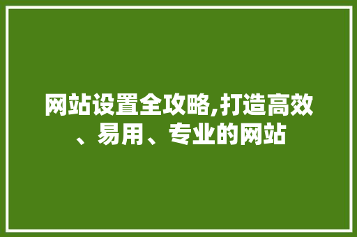 网站设置全攻略,打造高效、易用、专业的网站