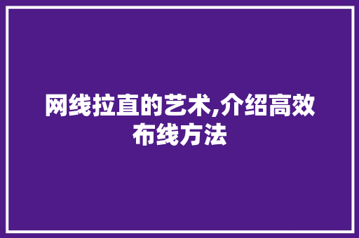 网线拉直的艺术,介绍高效布线方法