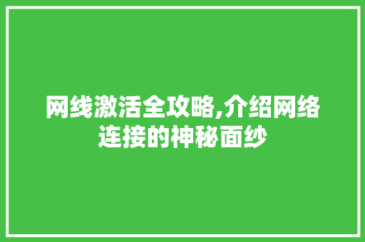 网线激活全攻略,介绍网络连接的神秘面纱 服务器/数据库
