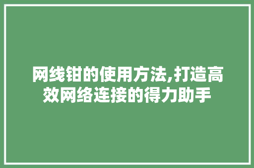 网线钳的使用方法,打造高效网络连接的得力助手