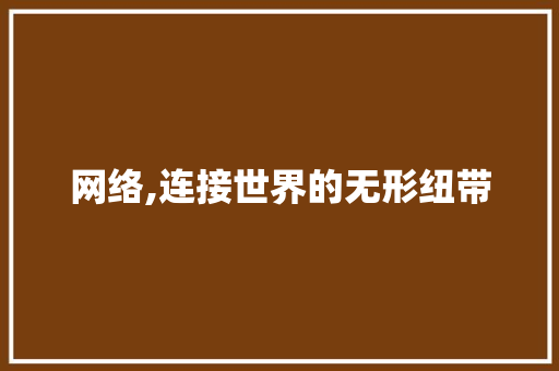 网络,连接世界的无形纽带