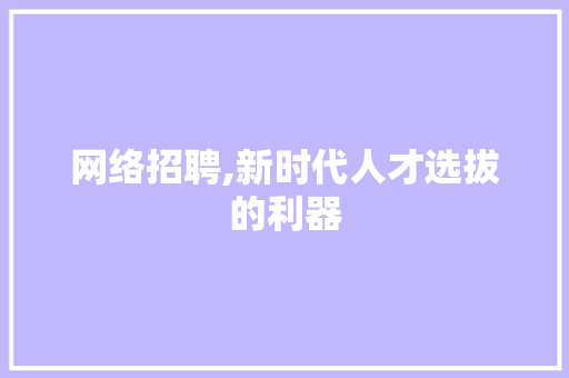 网络招聘,新时代人才选拔的利器