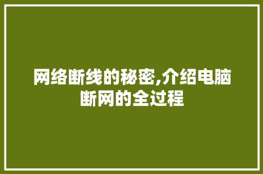网络断线的秘密,介绍电脑断网的全过程