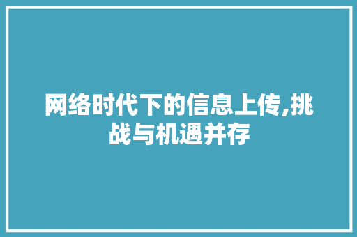 网络时代下的信息上传,挑战与机遇并存