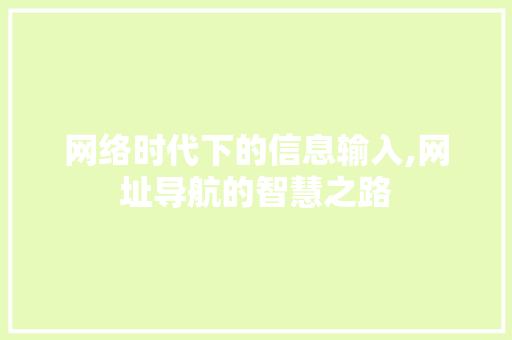 网络时代下的信息输入,网址导航的智慧之路