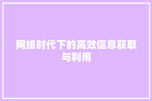 网络时代下的高效信息获取与利用