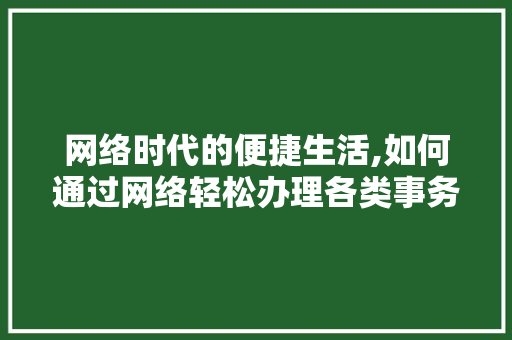 网络时代的便捷生活,如何通过网络轻松办理各类事务