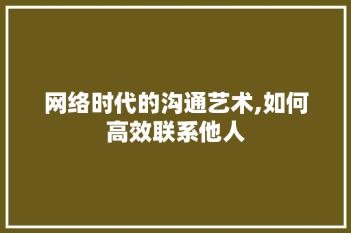 网络时代的沟通艺术,如何高效联系他人