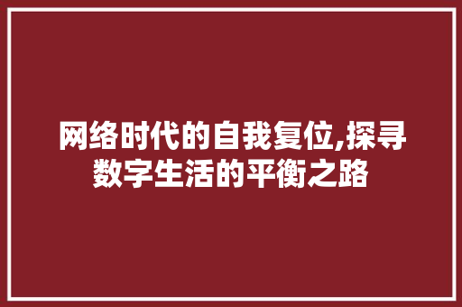 网络时代的自我复位,探寻数字生活的平衡之路
