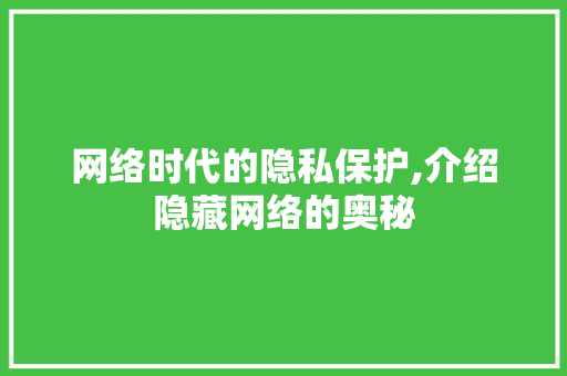网络时代的隐私保护,介绍隐藏网络的奥秘