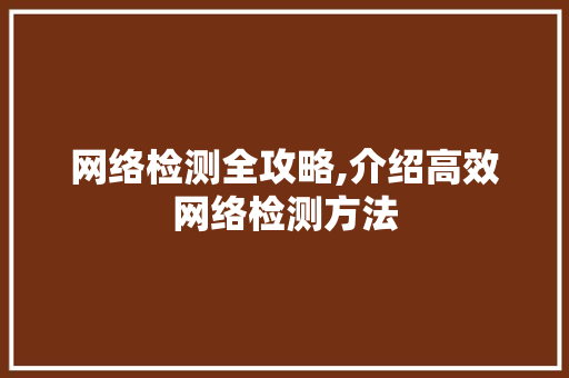 网络检测全攻略,介绍高效网络检测方法