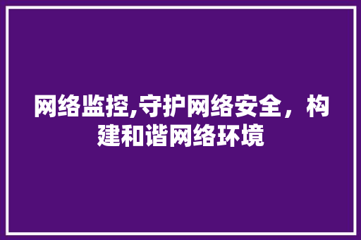 网络监控,守护网络安全，构建和谐网络环境