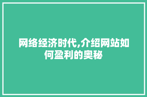 网络经济时代,介绍网站如何盈利的奥秘