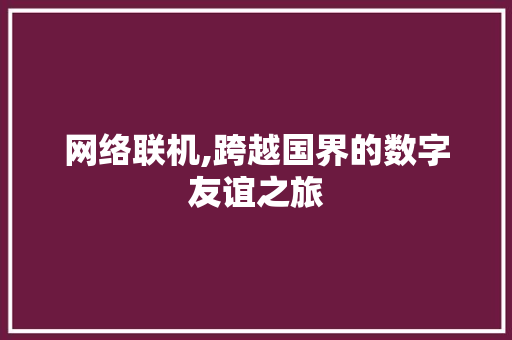 网络联机,跨越国界的数字友谊之旅