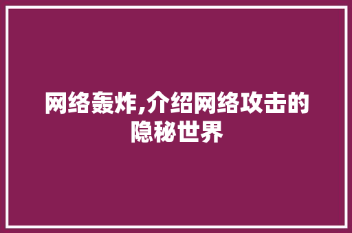 网络轰炸,介绍网络攻击的隐秘世界