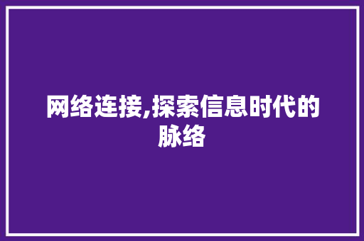 网络连接,探索信息时代的脉络