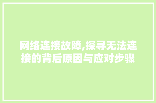 网络连接故障,探寻无法连接的背后原因与应对步骤
