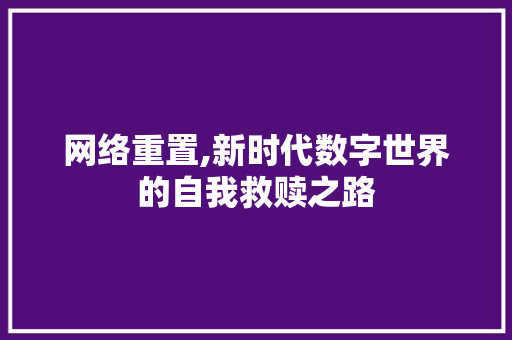网络重置,新时代数字世界的自我救赎之路