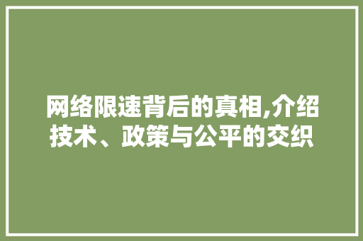 网络限速背后的真相,介绍技术、政策与公平的交织