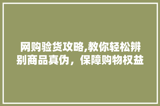 网购验货攻略,教你轻松辨别商品真伪，保障购物权益 建站教程