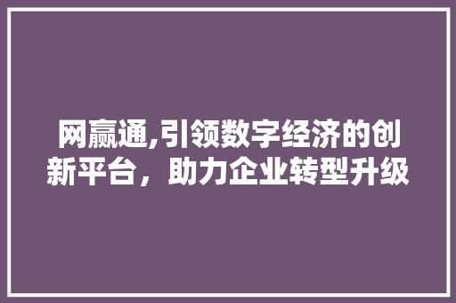 网赢通,引领数字经济的创新平台，助力企业转型升级