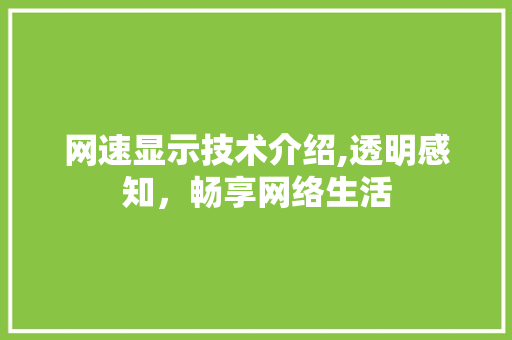 网速显示技术介绍,透明感知，畅享网络生活