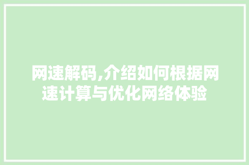网速解码,介绍如何根据网速计算与优化网络体验