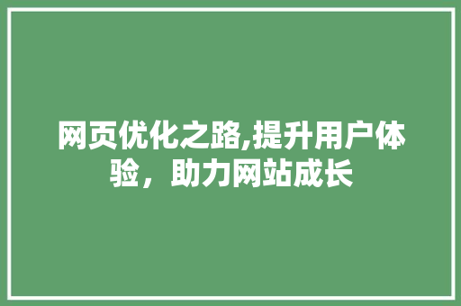 网页优化之路,提升用户体验，助力网站成长