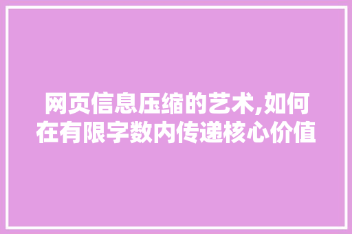 网页信息压缩的艺术,如何在有限字数内传递核心价值