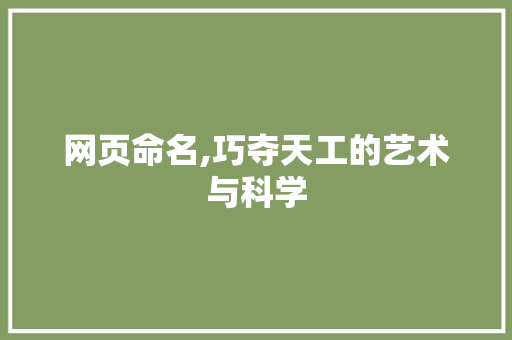 网页命名,巧夺天工的艺术与科学