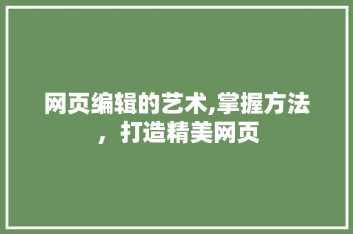 网页编辑的艺术,掌握方法，打造精美网页