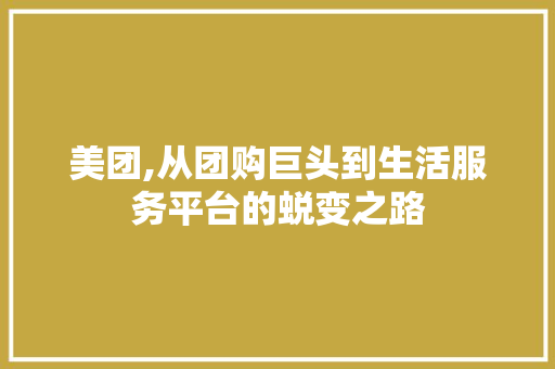 美团,从团购巨头到生活服务平台的蜕变之路