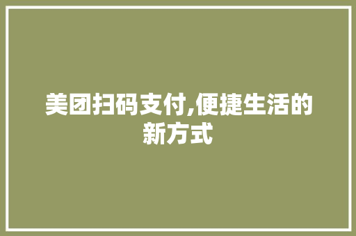 美团扫码支付,便捷生活的新方式