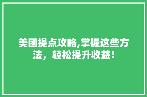 美团提点攻略,掌握这些方法，轻松提升收益！