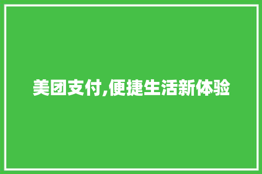 美团支付,便捷生活新体验