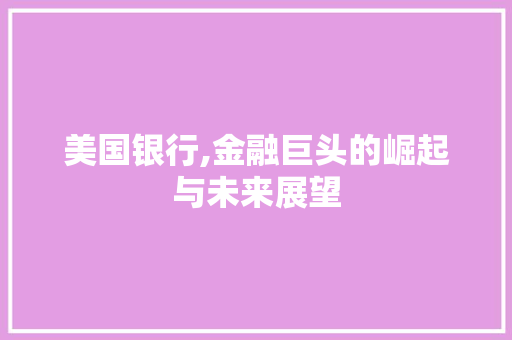 美国银行,金融巨头的崛起与未来展望