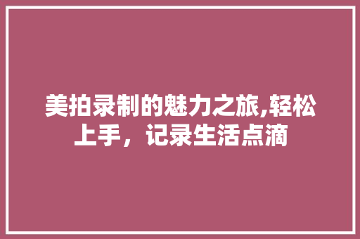 美拍录制的魅力之旅,轻松上手，记录生活点滴