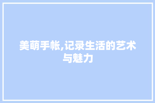 美萌手帐,记录生活的艺术与魅力
