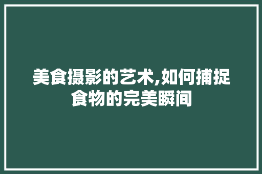 美食摄影的艺术,如何捕捉食物的完美瞬间