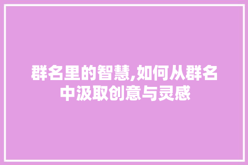 群名里的智慧,如何从群名中汲取创意与灵感