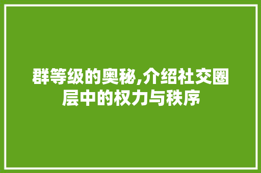 群等级的奥秘,介绍社交圈层中的权力与秩序