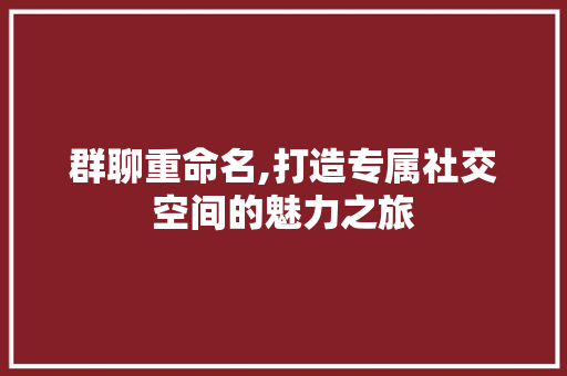 群聊重命名,打造专属社交空间的魅力之旅