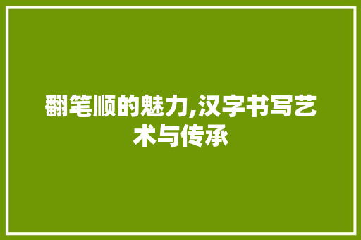 翻笔顺的魅力,汉字书写艺术与传承