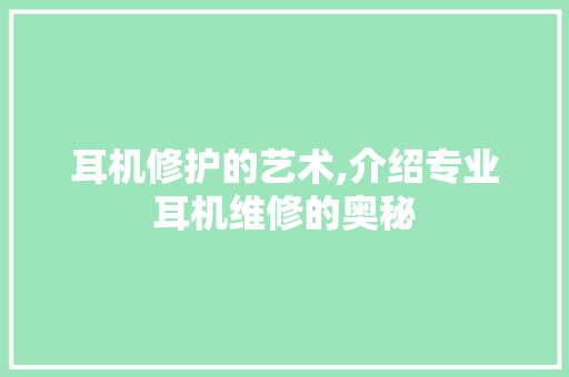 耳机修护的艺术,介绍专业耳机维修的奥秘