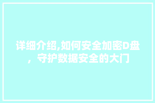 详细介绍,如何安全加密D盘，守护数据安全的大门
