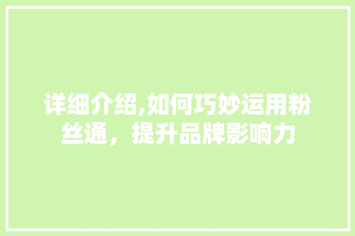 详细介绍,如何巧妙运用粉丝通，提升品牌影响力
