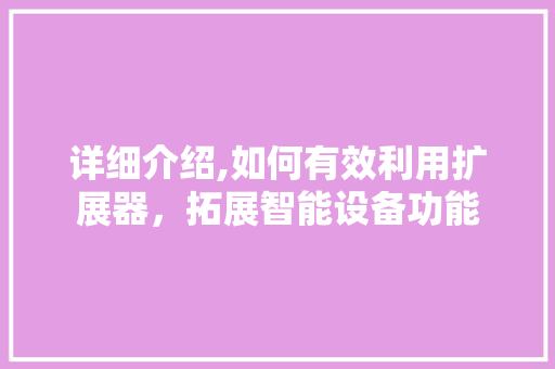 详细介绍,如何有效利用扩展器，拓展智能设备功能