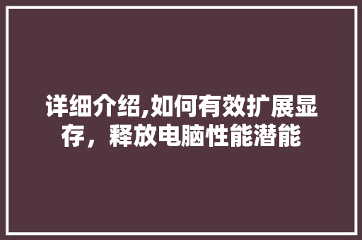 详细介绍,如何有效扩展显存，释放电脑性能潜能
